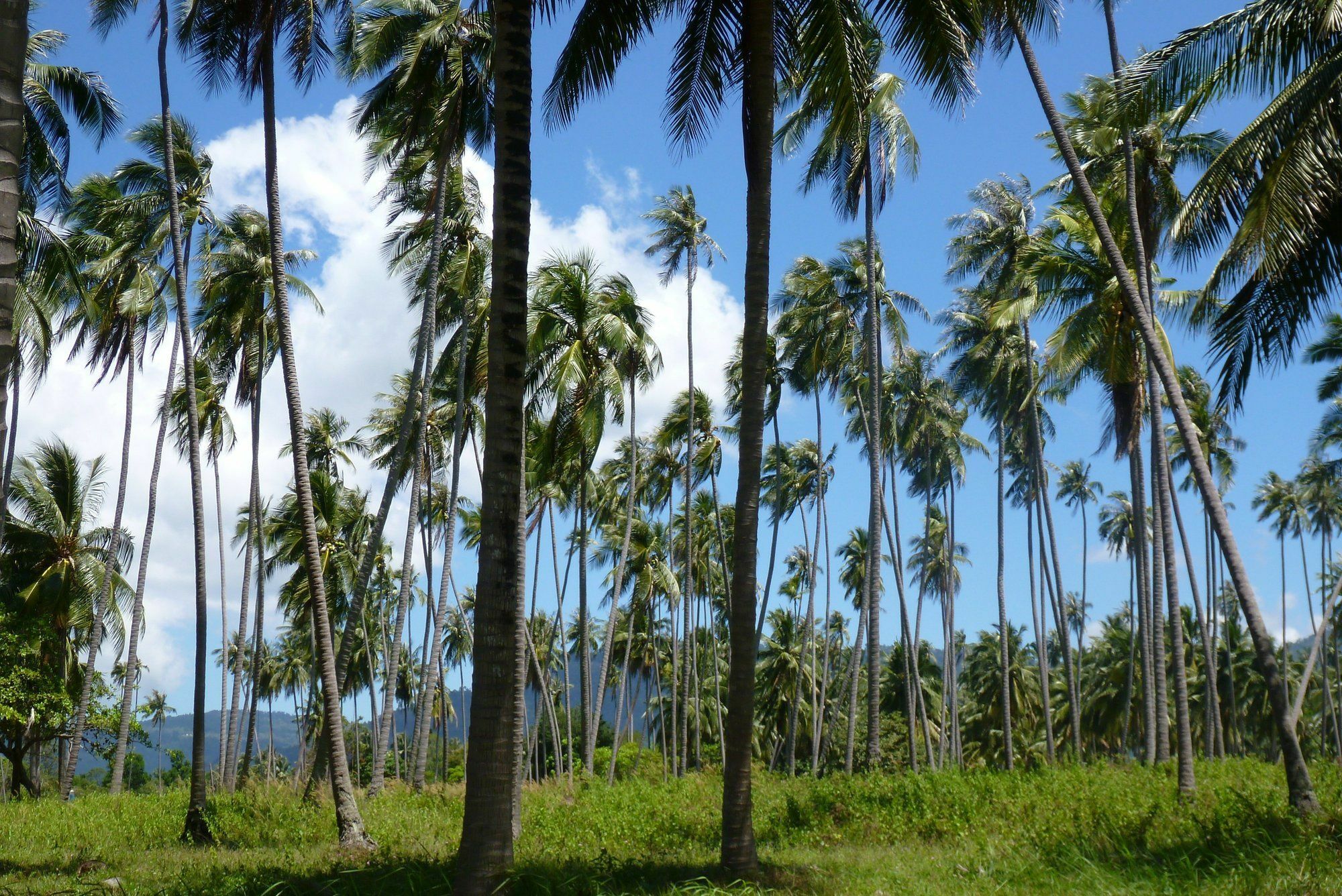فندق Maenam Hills Samui شاطئ مينام المظهر الخارجي الصورة
